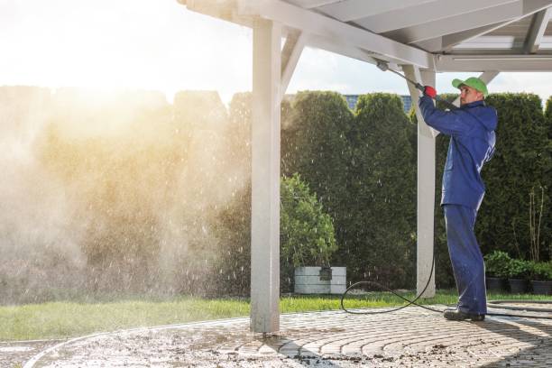 Best Soft Washing  in Bakersfield, CA